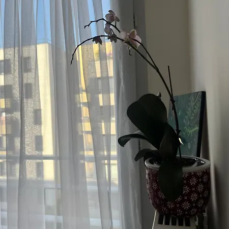 Bright With Terrace